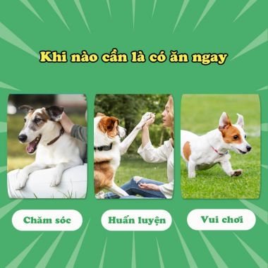 Xương da bò kẹp thịt gà cho chó Doggyman Chewell - 22 cây 210gr