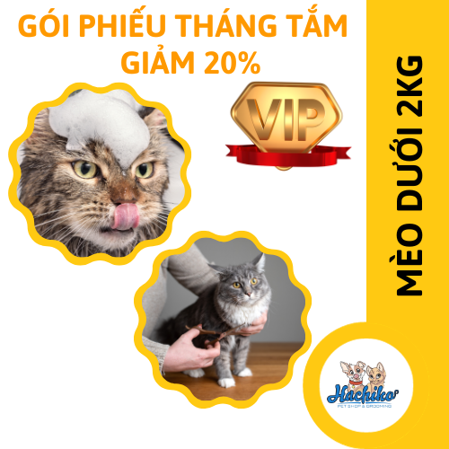 Dịch vụ Tắm Vip cho Mèo - Phiếu tháng giảm 20%
