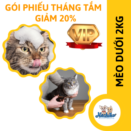 PHIẾU THÁNG Combo VIP trọn gói tắm cho Mèo - GIẢM 20%