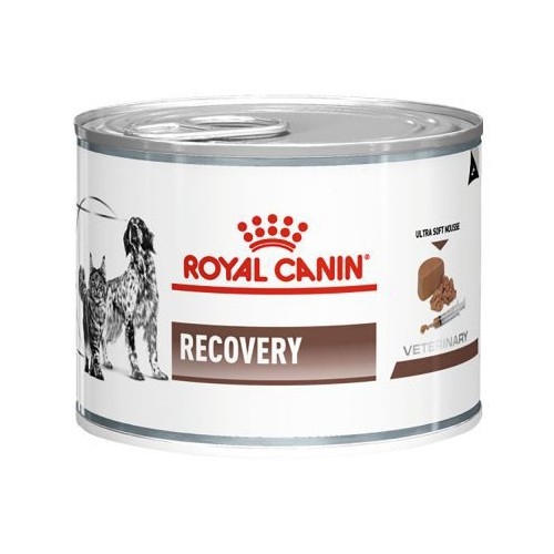 Pate/ Thức ăn ướt dành cho Chó Mèo phục hồi sức khỏe  Royal Canin Recovery lon 195g