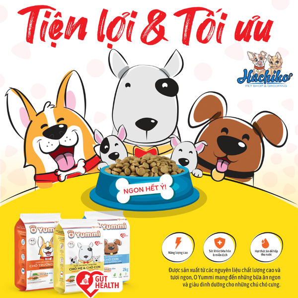 Oyummi - Thức ăn hoàn chỉnh cho chó con màu xanh 500gr