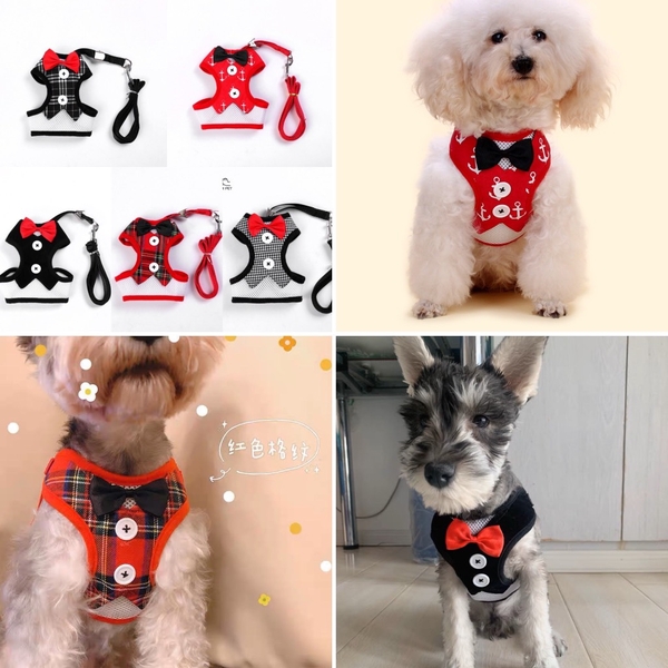 Spet Đai ngực kèm dây dắt đinhs cúc và nơ size S/M