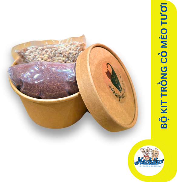 Bộ kit trồng cỏ mèo tươi (Đất trồng + hạt giống + hộp nhựa + hướng dẫn trồng)