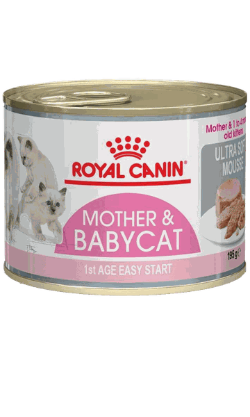 Pate dành cho Mèo mẹ và Mèo con Royal Canin Mother & Babycat Lon 195g