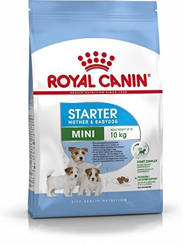 Royal Canin Mini Starter Mother & Babydog