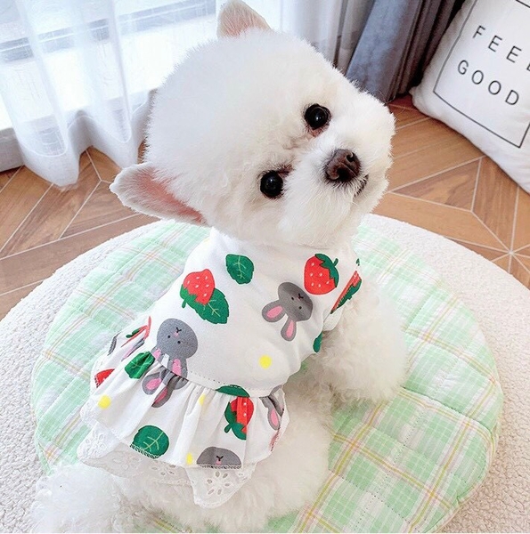 Spet Váy Áo dâu tây và thỏ