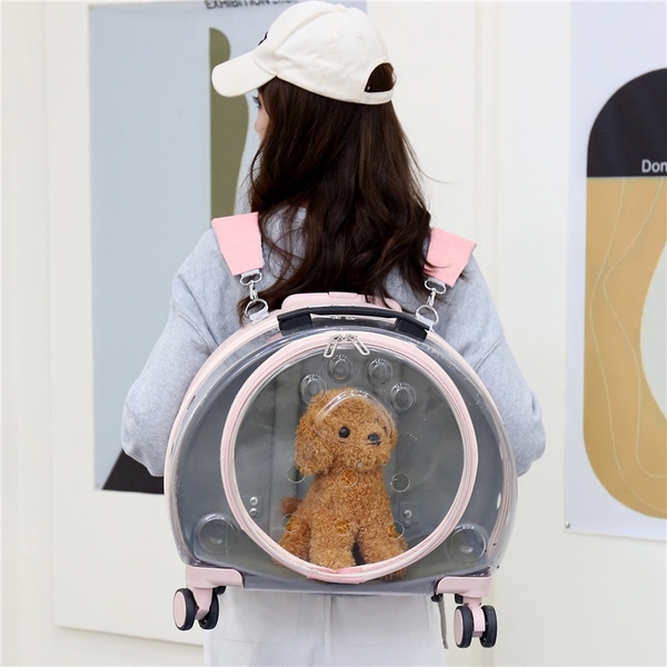 Vali kéo trong suốt cao cấp vận chuyển Chó Mèo cute in bàn chân 43*40*26cm