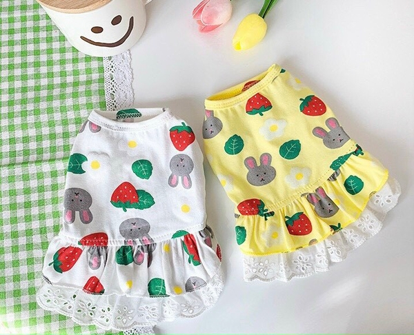 Spet Váy Áo dâu tây và thỏ