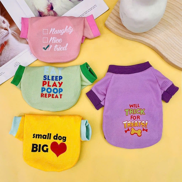 KK Áo thun Gân chữ có tay M-L-XL-2XL