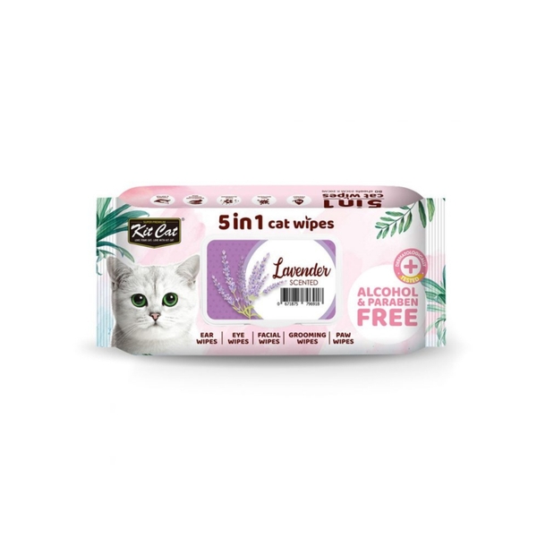 Khăn ướt kháng khuẩn mèo Lavender