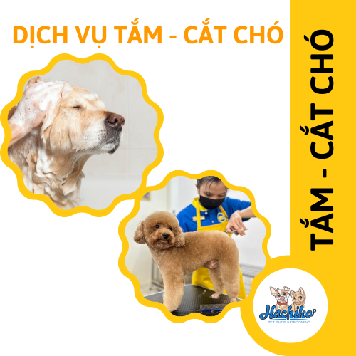 Combo trọn gói Tắm - Cắt cho Chó