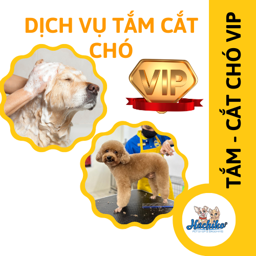 Combo VIP trọn gói Tắm - Cắt cho Chó