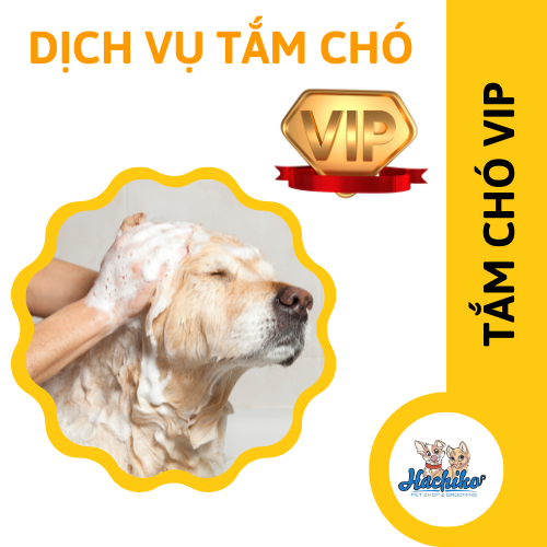 Combo VIP trọn gói Tắm cho Chó