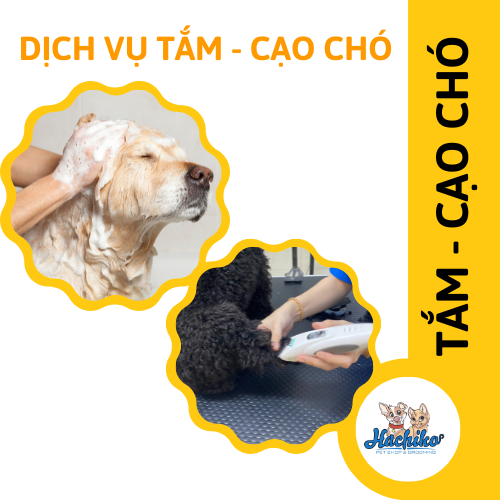 Combo trọn gói Tắm - Cạo cho Chó