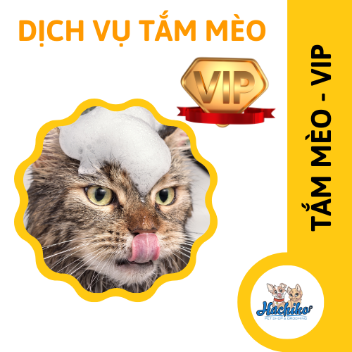 Dịch vụ VIP spa, grooming, tắm, vệ sinh, cắt tỉa, cạo lông cho Mèo