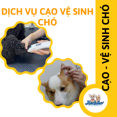 Combo trọn gói Cạo - Vệ sinh cho Chó