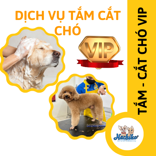 Dịch vụ VIP spa, grooming, tắm, vệ sinh, cắt tỉa, cạo lông cho chó