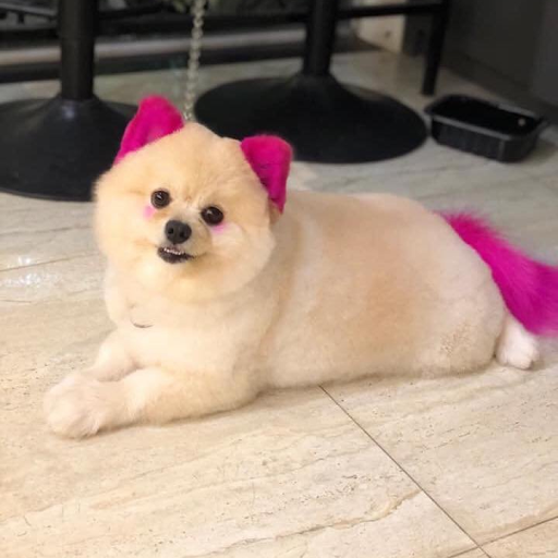 DỊCH VỤ NHUỘM ĐUÔI