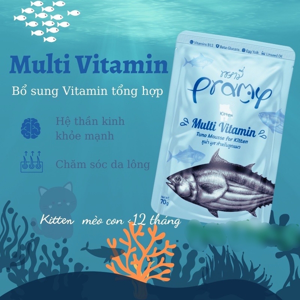 Spet Xốt Mèo Pramy Pounch 70gr