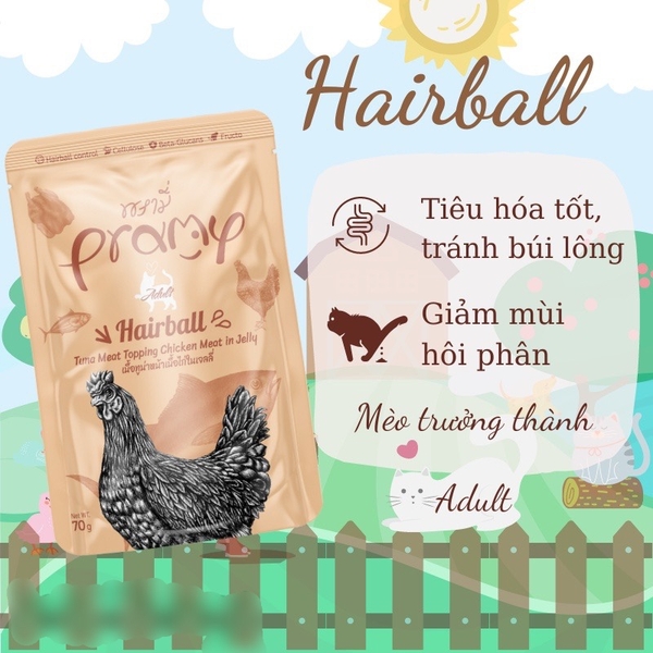 Spet Xốt Mèo Pramy Pounch 70gr