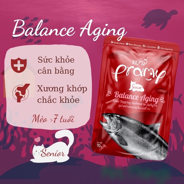 Spet Xốt Mèo Pramy Pounch 70gr