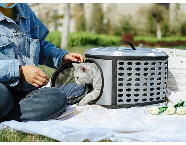 Vipe Túi xách họa tiết mèo Kitty 42*33*29