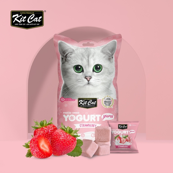 Bánh thưởng cho Mèo 8 vị thơm ngon KitCat Yogurt Yums - 80gr 10 viên