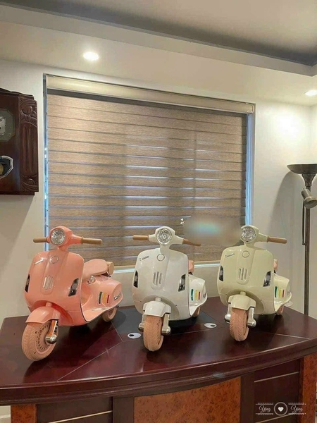 xe-may-dien-vespa-xw-02