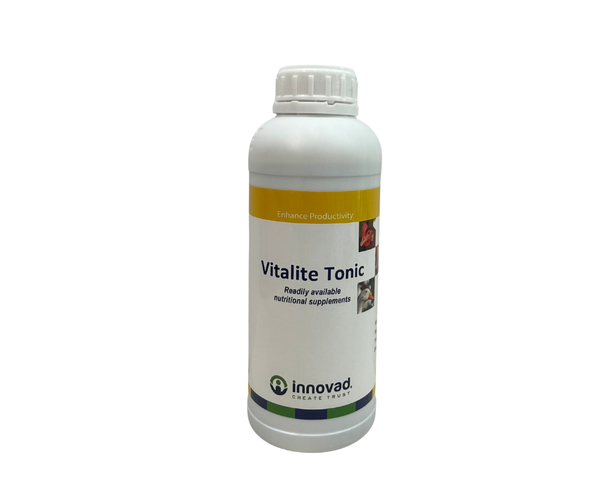 vitalite-tonic-ho-tro-giai-doc-gan