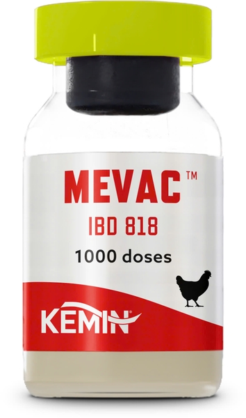 mevac-ibd-818