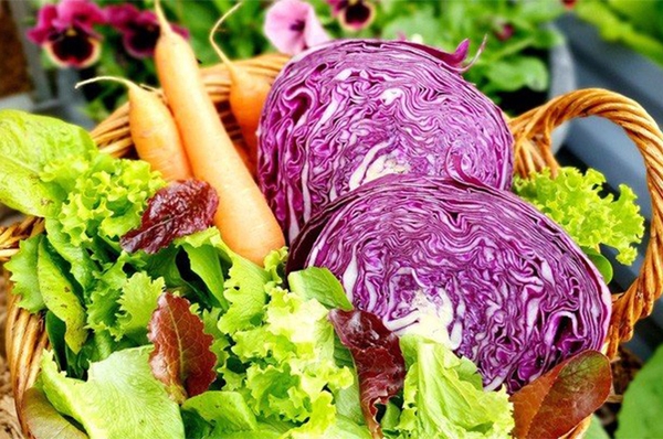 Nhập khẩu rau quả vượt mốc 1 tỷ USD, Thái Lan chiếm 60% thị phần