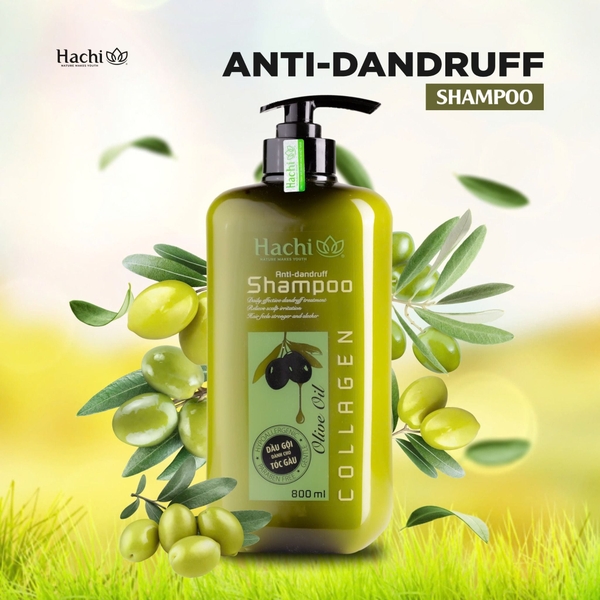 [THÙNG 12 CHAI] Hachi Dầu Gội Olive Trị Gàu Chai 800ml