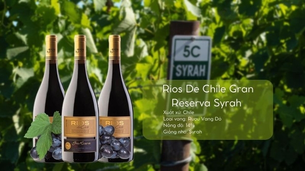 Vang Chile Rios Gran Reserva Syrah