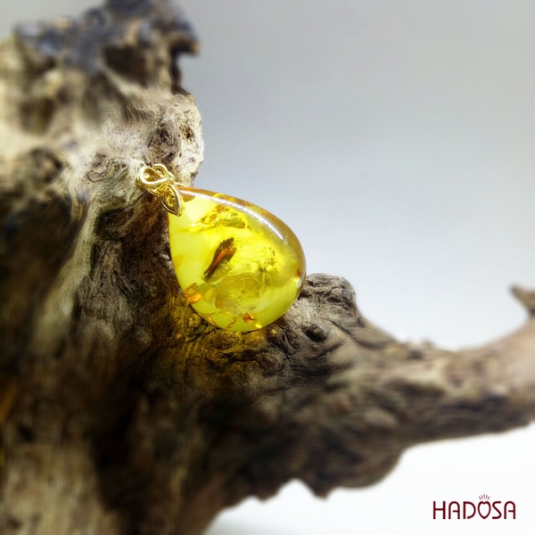 Lý do bạn nên sở hữu sản phẩm chế tác từ Hổ Phách Baltic