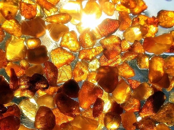 Khám phá bí ẩn từ các loại hổ phách