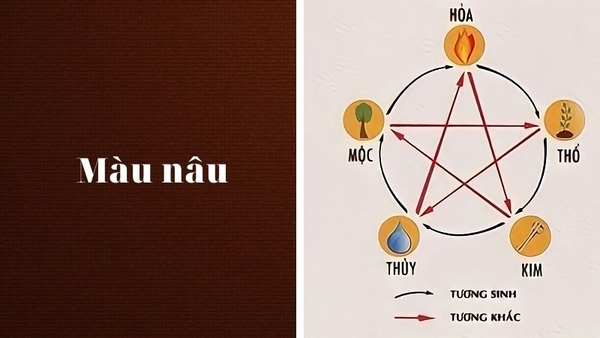 Tìm Hiểu Và Giải Mã Về Ý Nghĩa Màu Nâu Trong Cuộc Sống