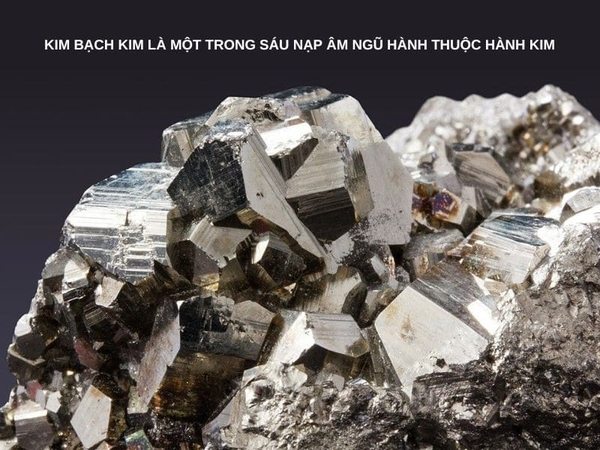 Tổng Hợp Về Kim Bạch Kim - Trang Sức Đá Phong Thuỷ Phù Hợp