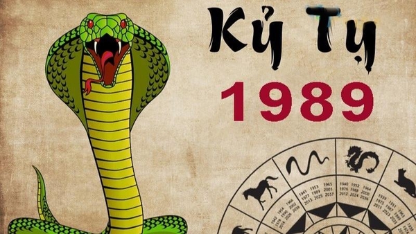 Kỷ Tỵ 1989 Hợp Mệnh Gì, Màu Gì, Hợp Với Người Tuổi Nào?