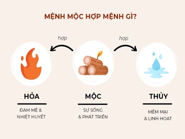 Mệnh Mộc Hợp Mệnh Gì Theo Quy Luật Tương Sinh Tương Khắc