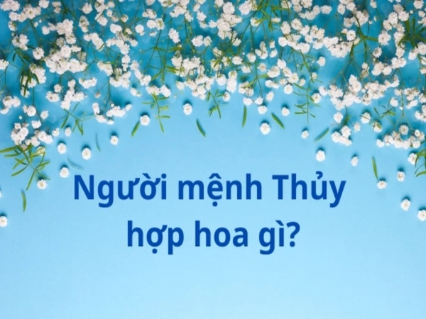 Mệnh Thủy Hợp Hoa Gì? Top 12 Loài Hoa May Mắn, Tài Lộc