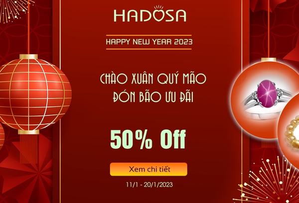 Chào Xuân Quý Mão - Đón Bão Ưu Đãi cùng HADOSA