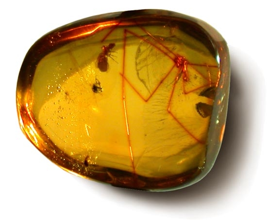 Cách phân biệt hổ phách tự nhiên và hổ phách nhân tạo