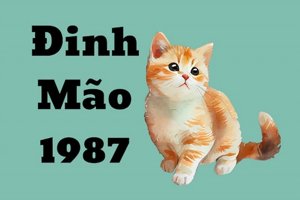 Đinh Mão 1987 Có Cuộc Đời Và Tính Cách Như Thế Nào?