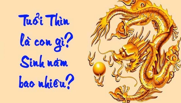 Tử Vi Tuổi Thìn: Đường Công Danh, Đường Tình Duyên Trọn Đời