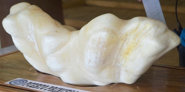 Viên Ngọc Trai Lớn Nhất Thế Giới - Vẻ Đẹp Và Giá Trị Vô Giá