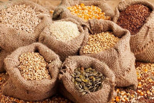 Kinh nghiệm mua giống cây ăn quả