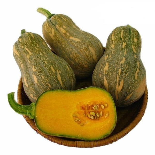 Kỹ thuật trồng bí đỏ hạt đậu năng suất cao