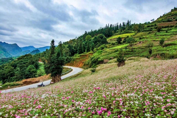 Tour Hà Giang 3 ngày 4 đêm | Kỳ vĩ Cao nguyên đá (Ngủ Nặm Đăm)