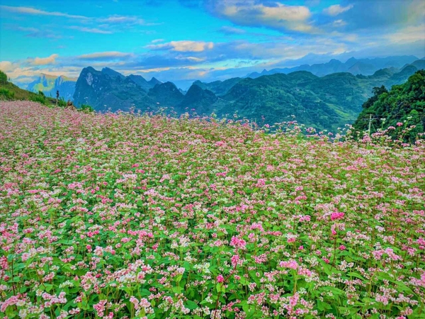 Tour Ghép Hà Giang Chợ tình Khâu Vai | 3 Ngày 4 Đêm