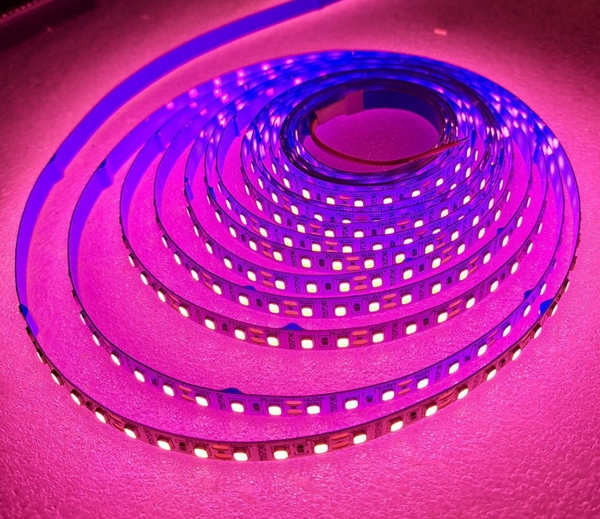 Led dây dán 2835 120b/m cuộn 5m ánh sáng hồng.
